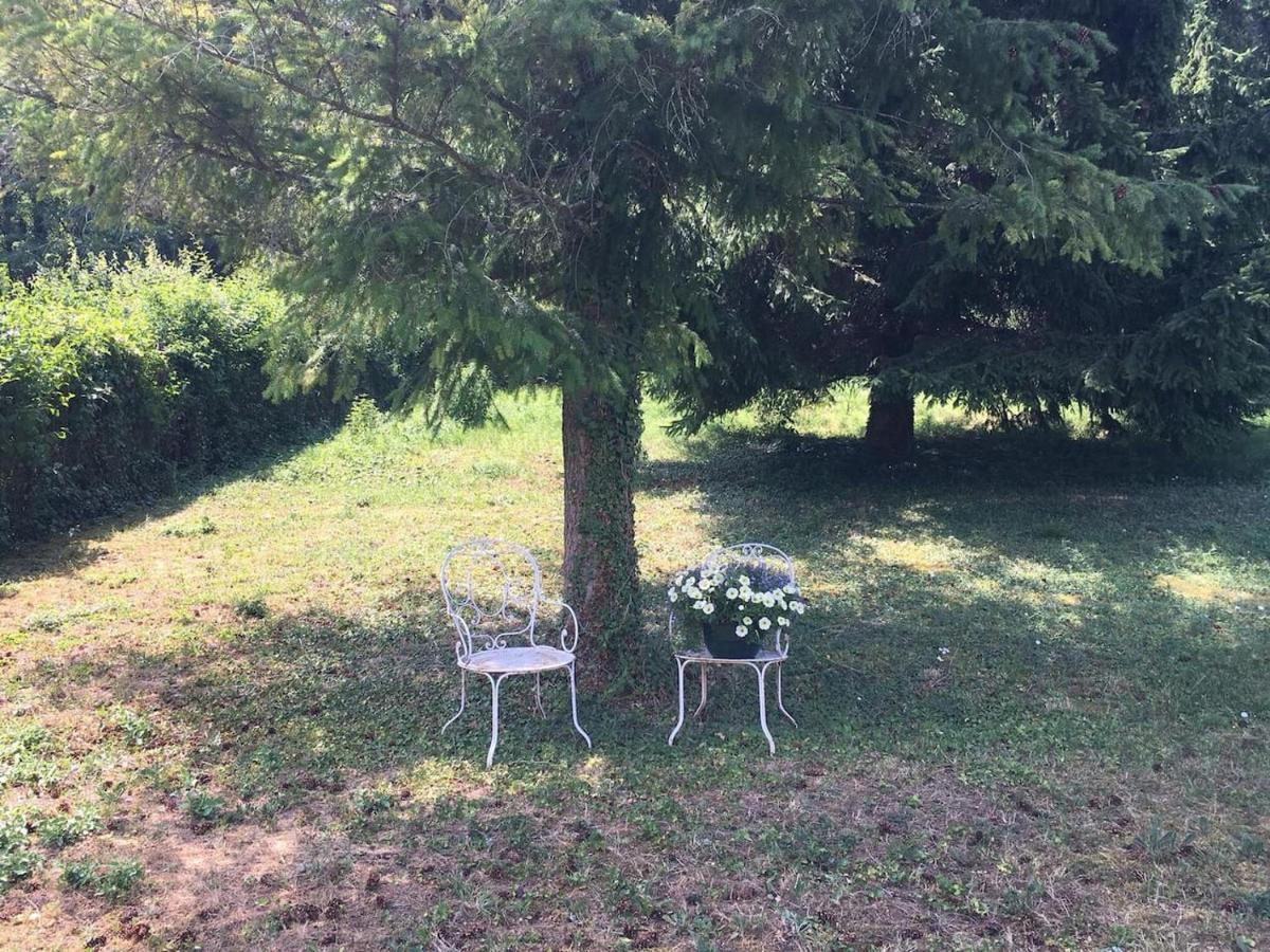 Appartamento Atelier Des Reves Vichy Esterno foto